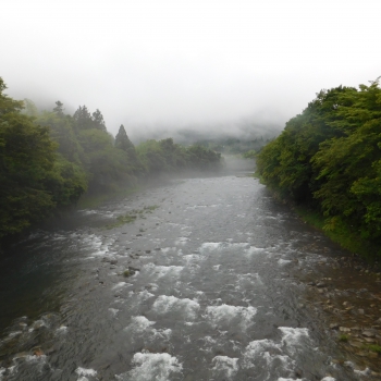 DSCN0589.JPG
