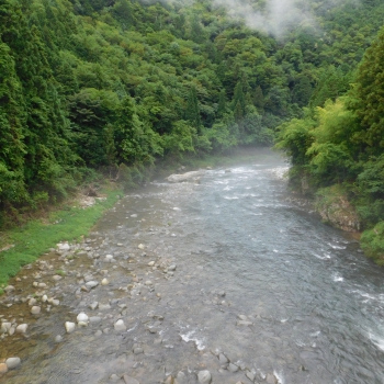 DSCN0592.JPG