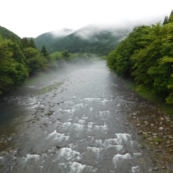 DSCN0595.JPG