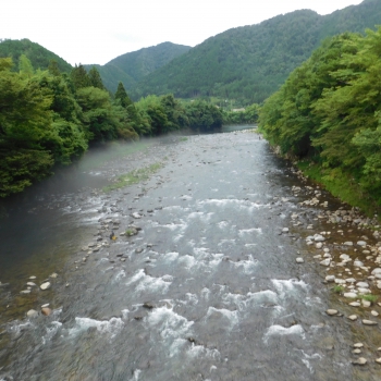DSCN0599.JPG