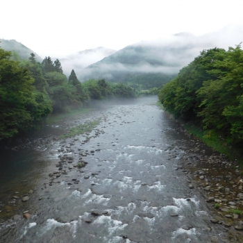 DSCN0608.JPG