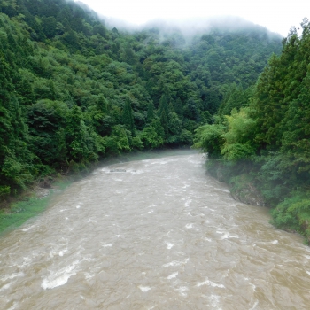 DSCN0610.JPG