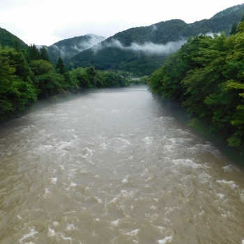 DSCN0613.JPG