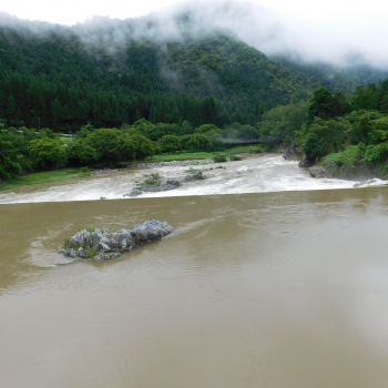 DSCN0614.JPG