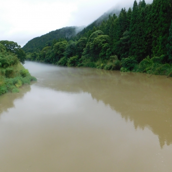 DSCN0617.JPG