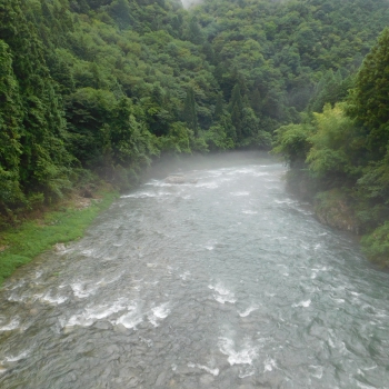 DSCN0618.JPG