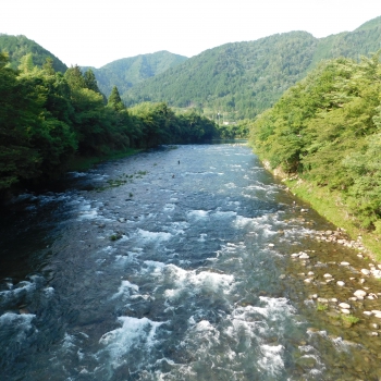 DSCN0629.JPG