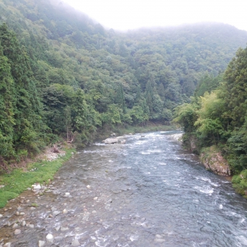 DSCN0631.JPG