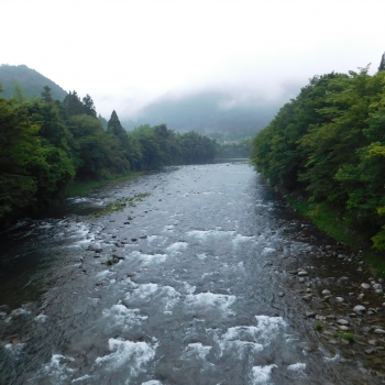 DSCN0634.JPG