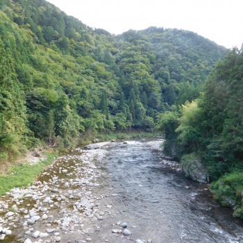 DSCN0664.JPG