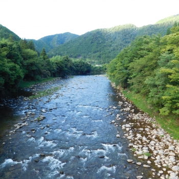 DSCN0667.JPG