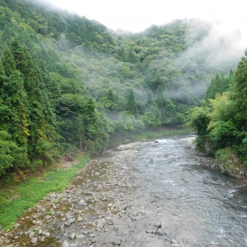 DSCN0676.JPG