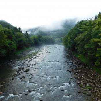 DSCN0679.JPG