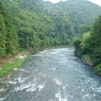 DSCN0684.JPG