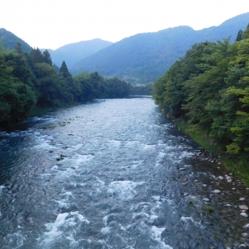 DSCN0687.JPG