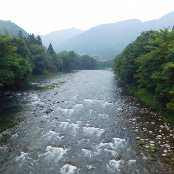 DSCN0695.JPG