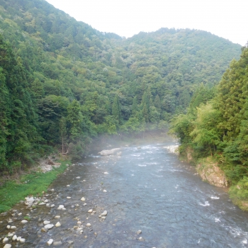 DSCN0696.JPG