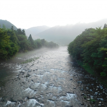 DSCN0699.JPG