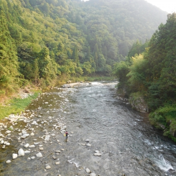 DSCN0700.JPG