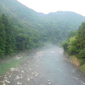 DSCN0706.JPG