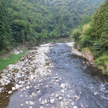 DSCN0775.JPG
