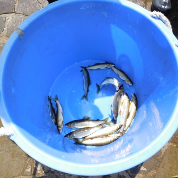 DSCN0804.JPG