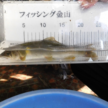 DSCN0944.JPG
