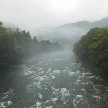 DSCN0991.JPG