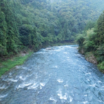 DSCN0992.JPG