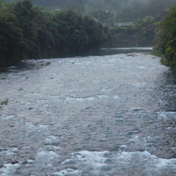 DSCN0994.JPG