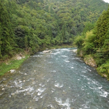 DSCN0996.JPG