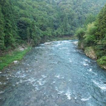 DSCN1002.JPG