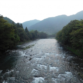 DSCN1005.JPG
