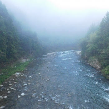 DSCN1006.JPG
