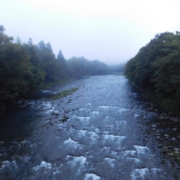 DSCN1009.JPG