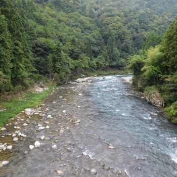 DSCN1010.JPG