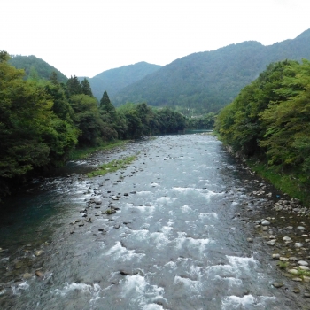 DSCN1013.JPG