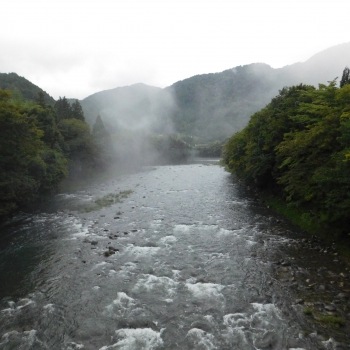 DSCN1017.JPG