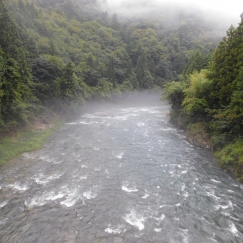 DSCN1018.JPG