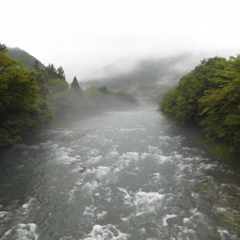 DSCN1021.JPG