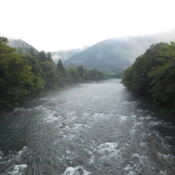 DSCN1029.JPG