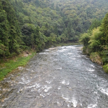 DSCN1030.JPG