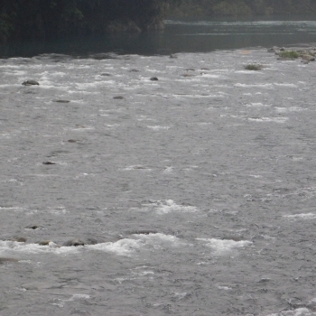 DSCN1032.JPG