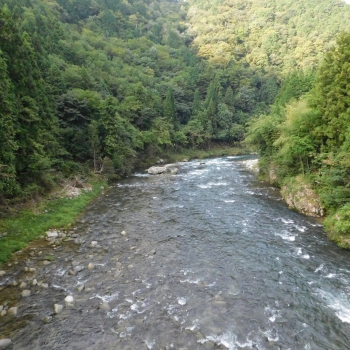 DSCN1034.JPG