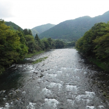 DSCN1037.JPG