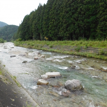 DSCN1062.JPG