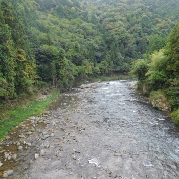 DSCN1098.JPG