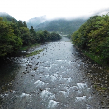 DSCN1101.JPG