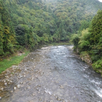 DSCN1102.JPG