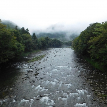 DSCN1105.JPG